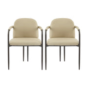 Modern Dining Chair (Set of 2) With Iron Frame - Espresso / Khaki