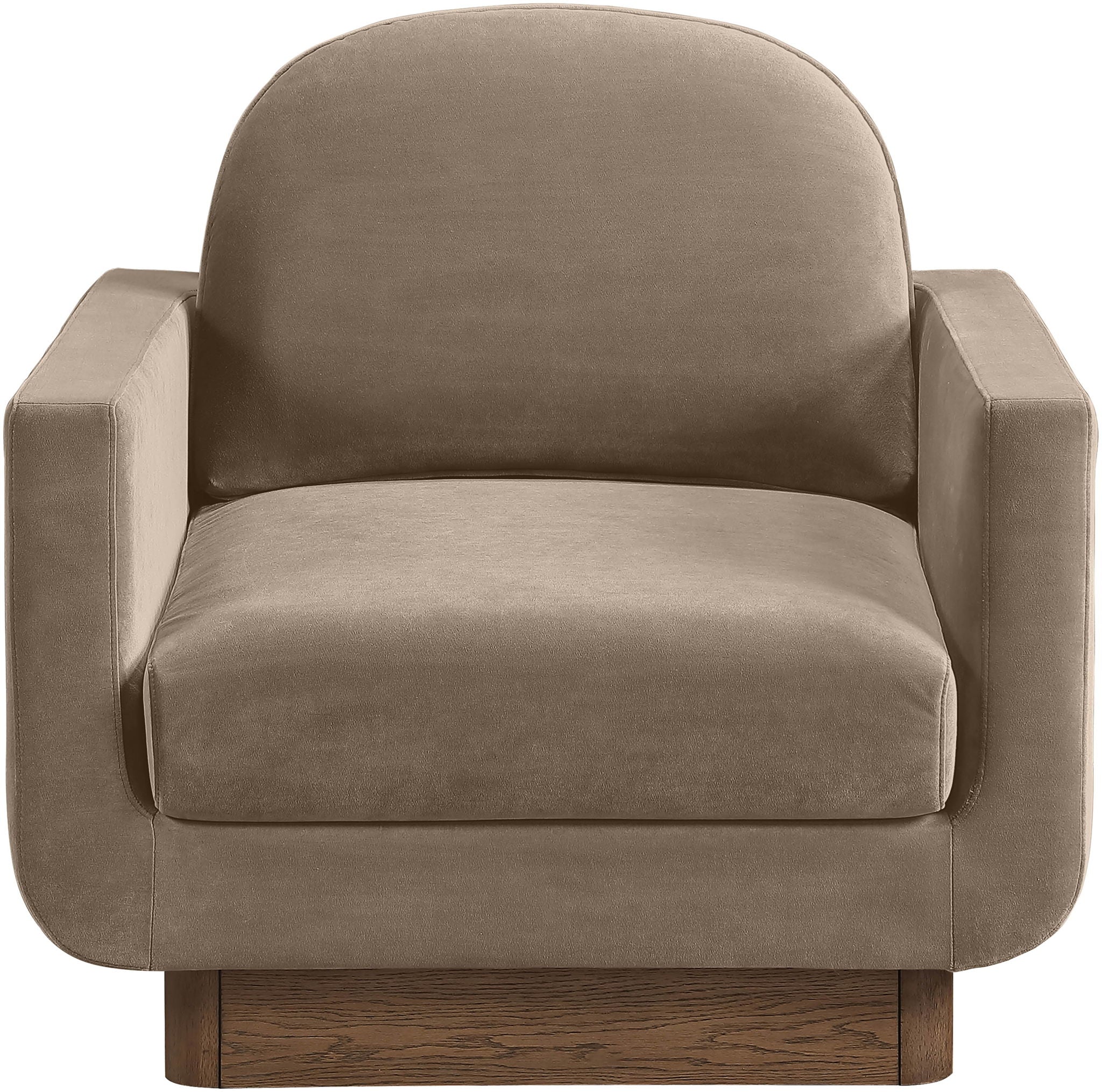 Diviento - Velvet Performance Fabric Upholstered Accent Chair