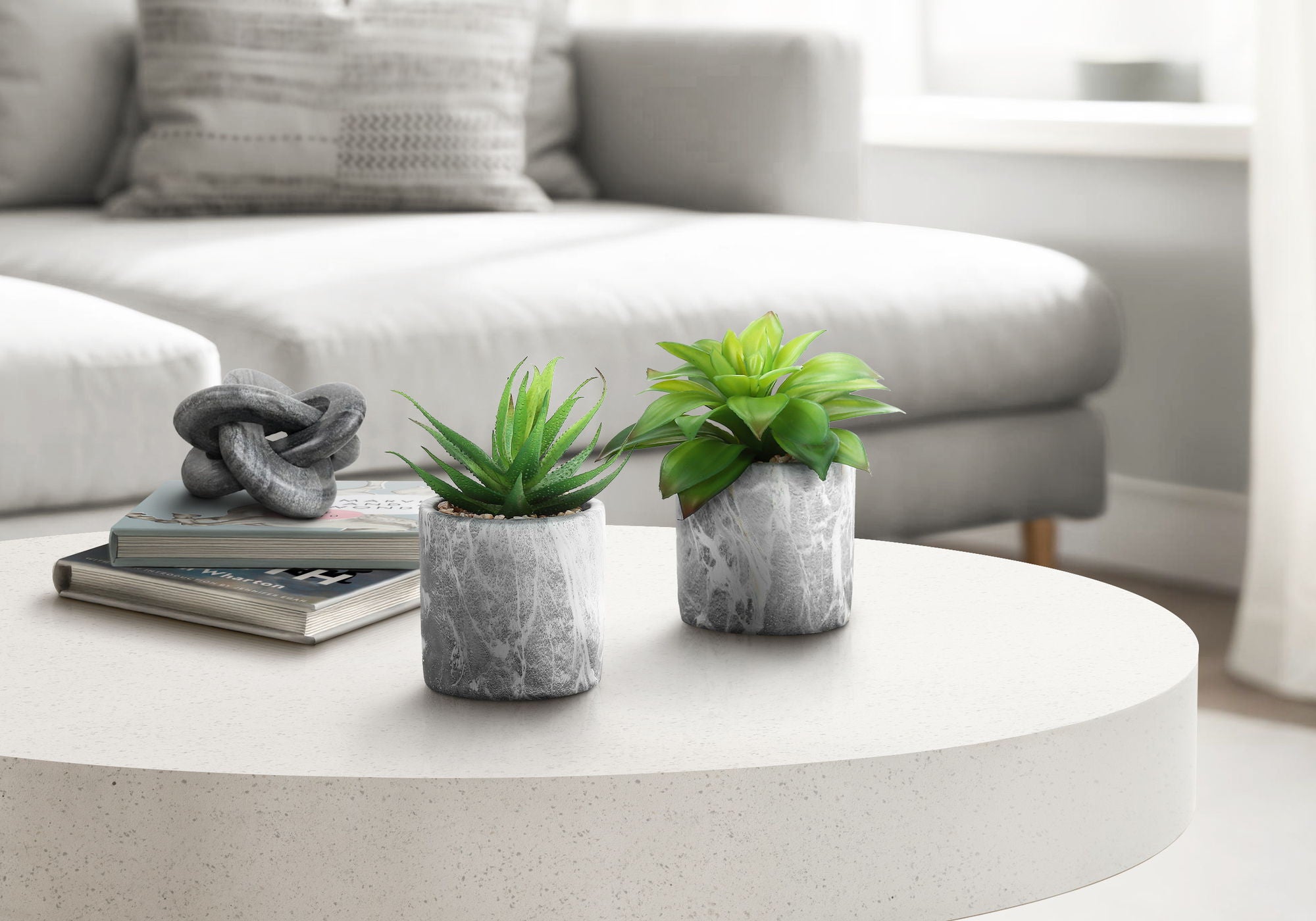 Plants