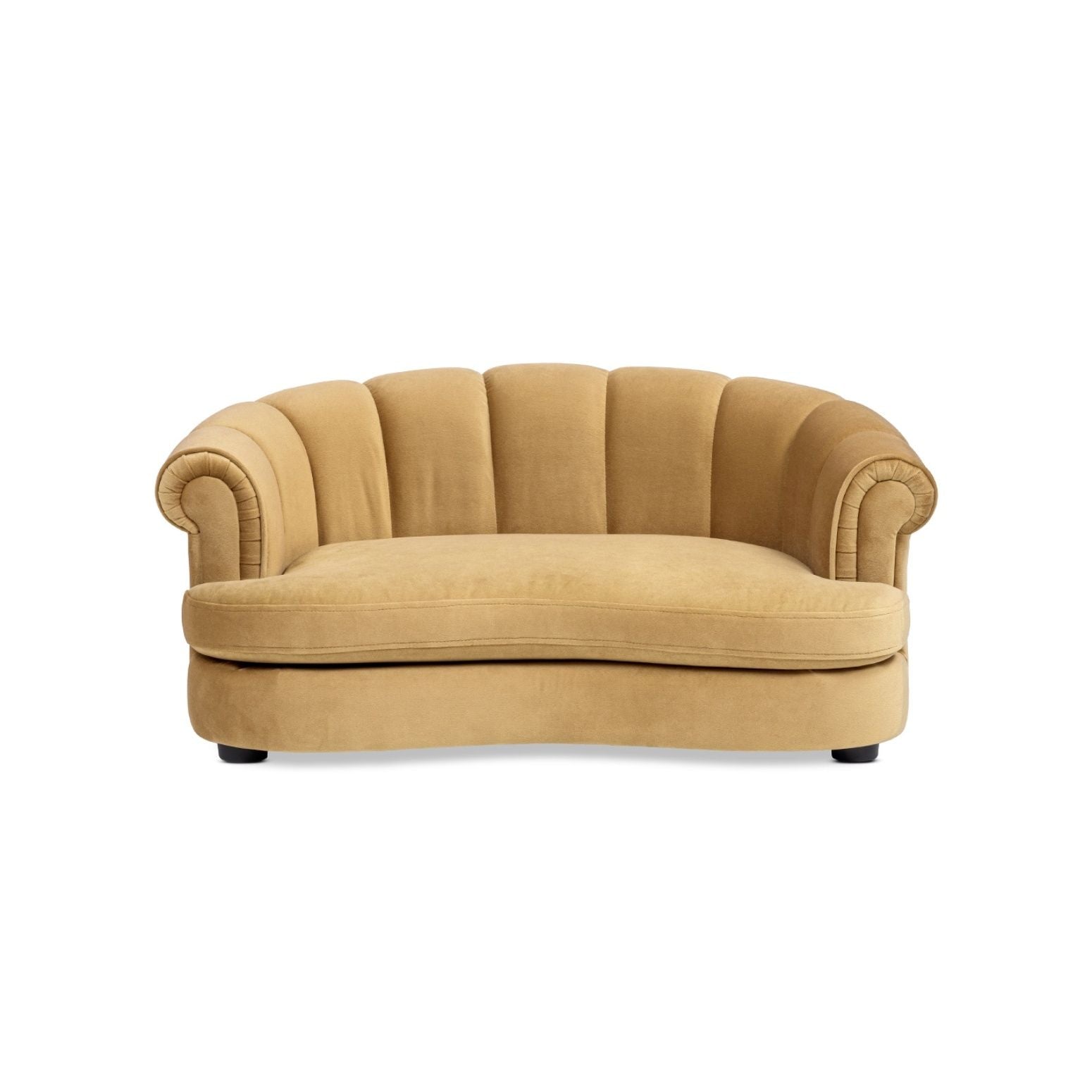 Halle - Rolled Arm Dog Sofa Bed