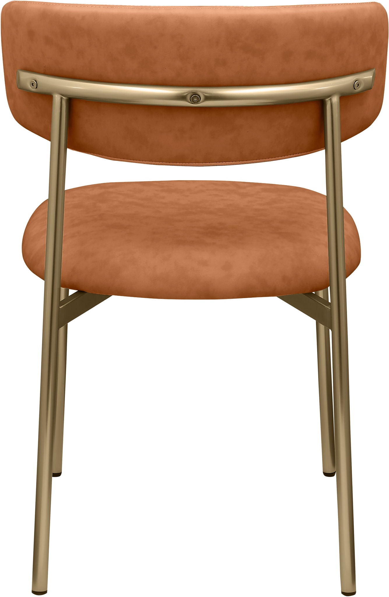 Lupita - Dining Chair With Brushed Gold Legs (Set of 2)