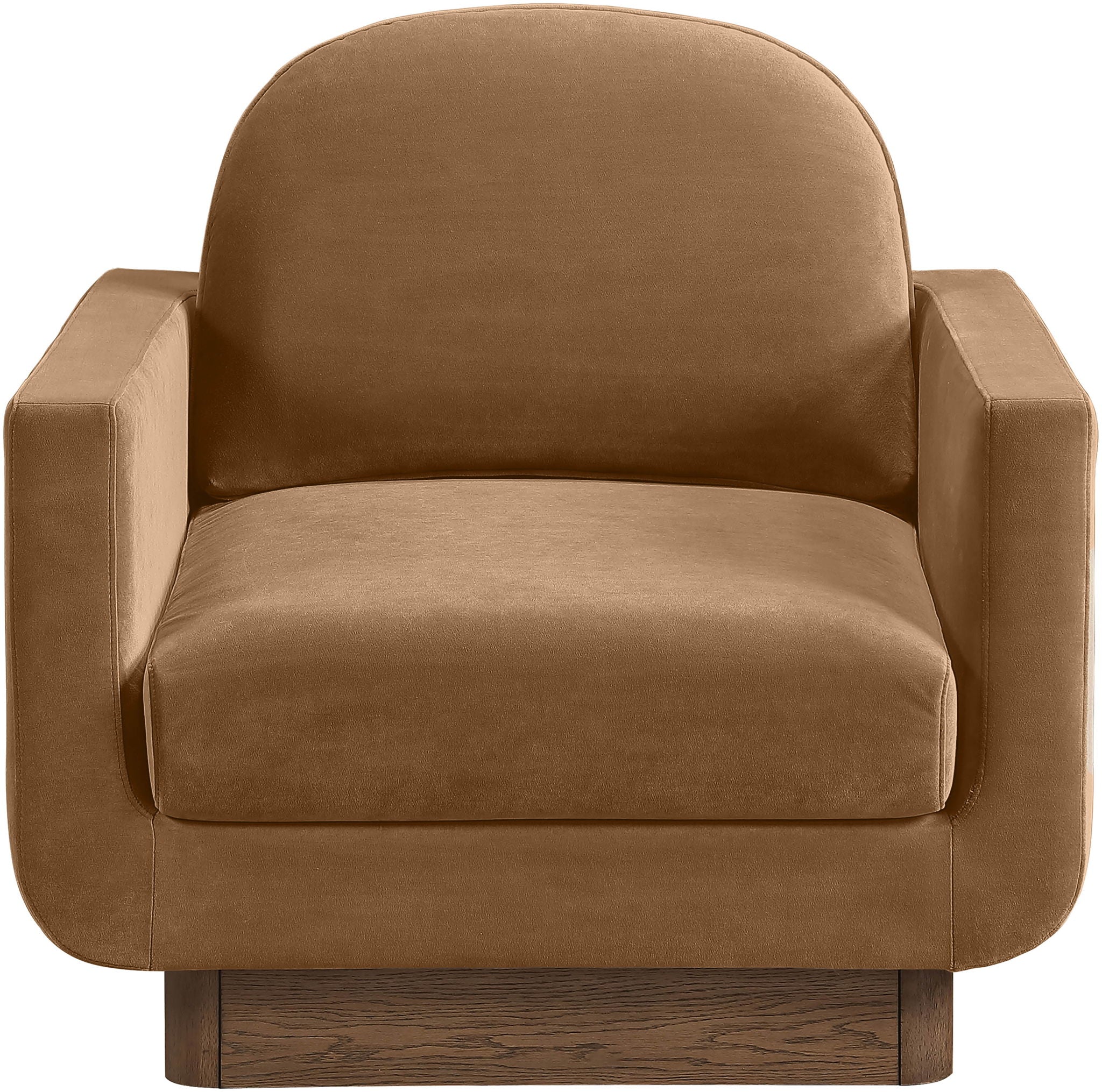 Diviento - Velvet Performance Fabric Upholstered Accent Chair