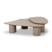 Rhema - Nesting Coffee Table (Set of 2) - Washed Ash