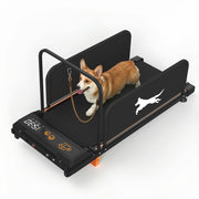 Small Dog Treadmill, Low Noise Pet Exercise Machine For Indoor Puppy Training, Portable Running Wheel - Black