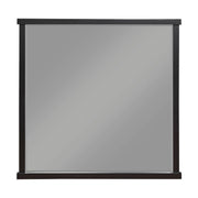 Acworth - Mirror - Brown / Black